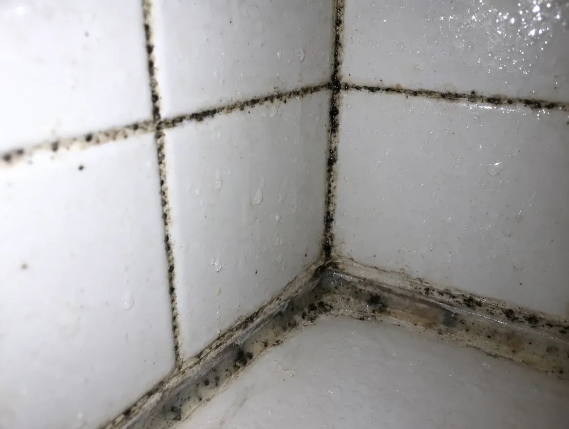 Rincón de ducha con azulejos blancos y juntas ennegrecidas por el moho, con la silicona inferior manchada